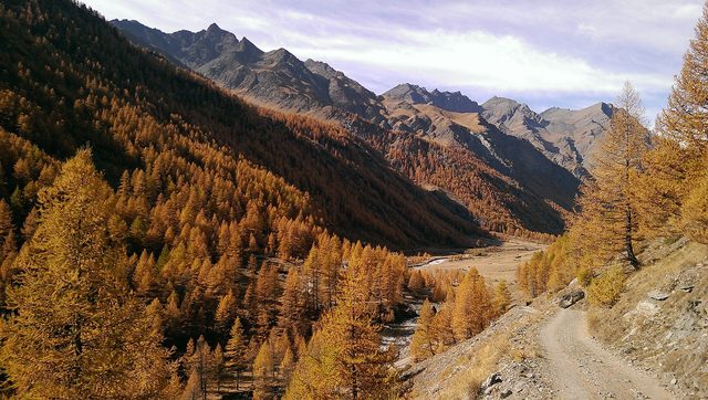 Valle Argentera